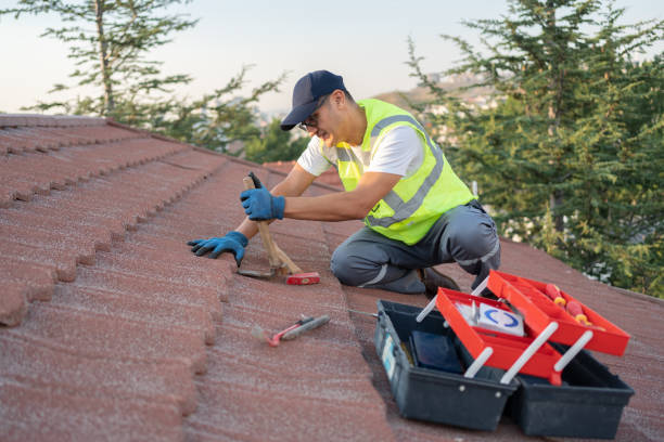Best Roof Leak Repair  in Tripoli, IA