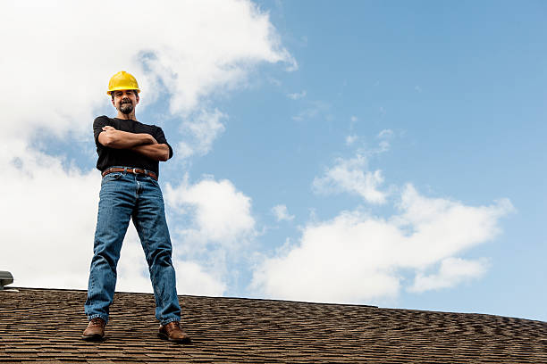 Best Roof Gutter Cleaning  in Tripoli, IA