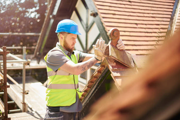 Best Roof Maintenance Services  in Tripoli, IA